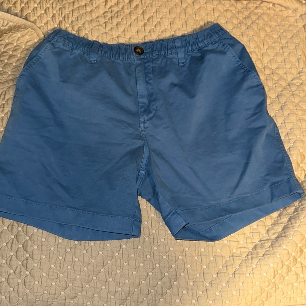 5.5 in” inseam baby blue chubbies shorts